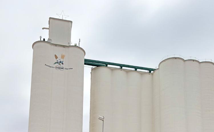 FIRST LOAD OF FLOYD COUNTY WHEAT for the 2026 harvest season was delivered to Producers Coop Elevator on May 16, 2026 by Ian McIntosh. | COURTESY PHOTO