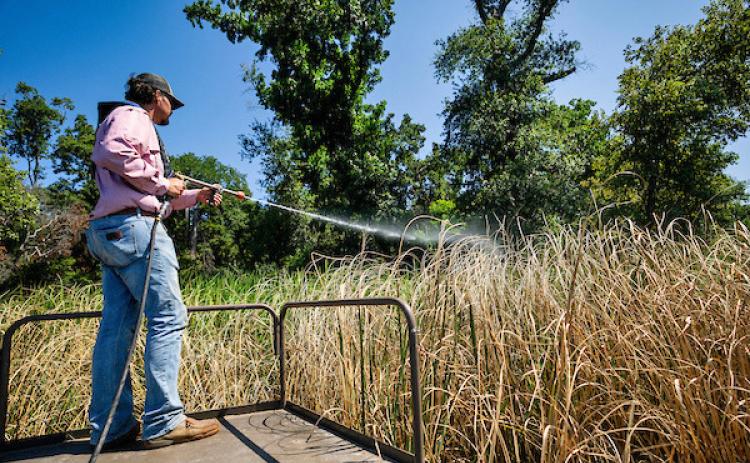 AQUATIC HERBICIDES The Texas A&amp;M AgriLife Extension Service will present a webinar, “Aquatic Vegetation Herbicides and Application,” May 19 from 6 to 7:30 p.m. | SAM CRAFT/TEXAS A&amp;M AGRILIFE PHOTO