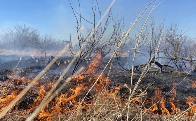 FIRE RELIEF Donations of hay, feed and fencing supplies are needed to support those impacted by the devastating Eastland Complex wildfires that have already burned more than 45,000 acres in Texas. | TEXAS A&amp;M FOREST SERVICE PHOTO