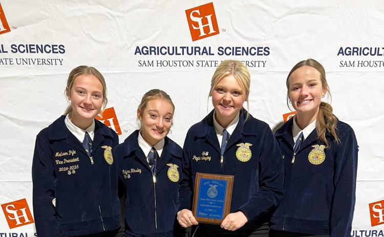 FFA HONORS
