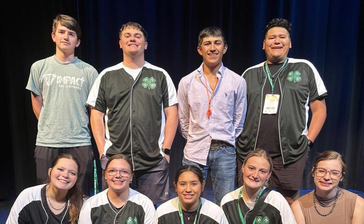 4-H ROUND UP HONORS