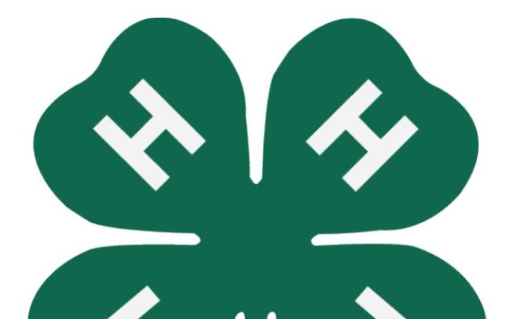 4-H