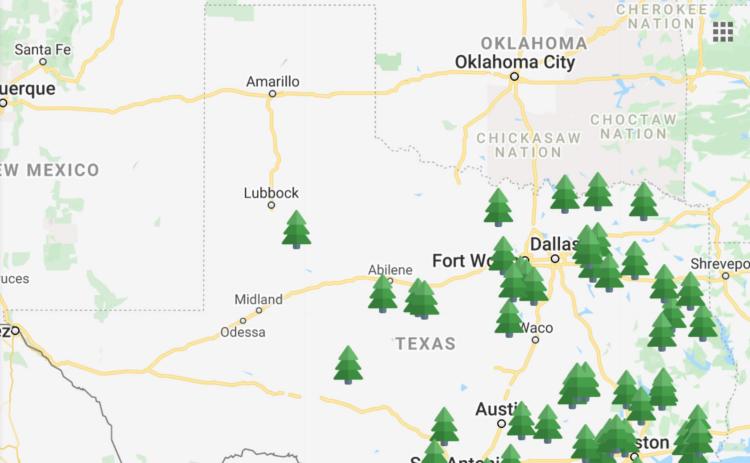 CUT-YOUR-OWN CHRISTMAS TREE FARMS IN TEXAS