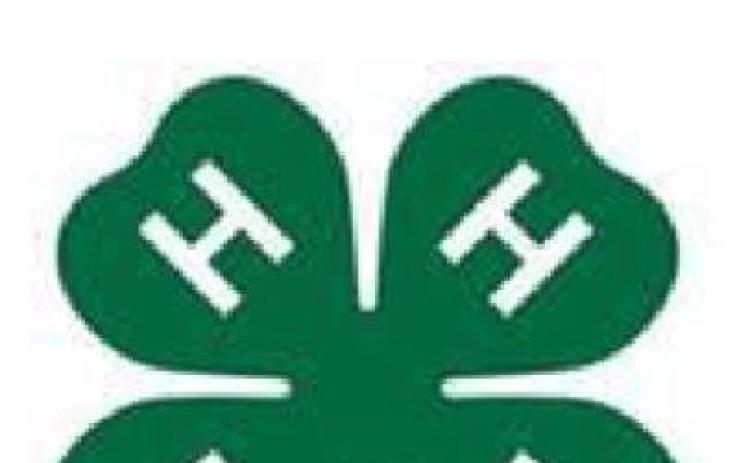 APRIL  7: Record Book Training 6 p.m. @ CEO  9: District 2 Rifle Contest in Lubbock 8 a.m. Fashion Show Shopping Spree  11: Meat Judging 6 p.m. @ Extension Office GEAR Robotics practice 4-5:30 p.m. @ CEO  12: Duds to Dazzle 6 p.m. @ CEO