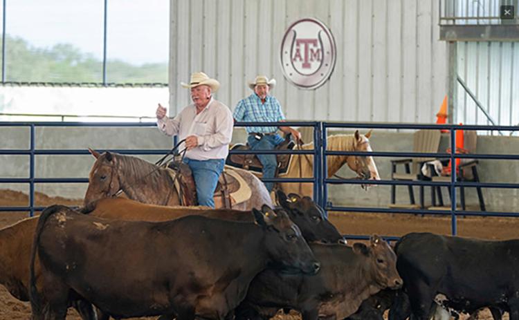 demonstrations are a part of the 50 hours of training and 30 courses covering new technologies and hot topics in beef cattle production that are offered during the Texas A&amp;M Beef Cattle Short Course in College Station. | Michael Miller/ Texas A&amp;M AgriLife