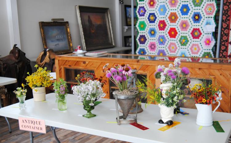 FAVE EVENT The wildflower show, a perennial favorite a the Old Settler's Day will be held on Saturday, May 25 from 9 a.m. to 2 p.m. | HESPERIAN-BEACON