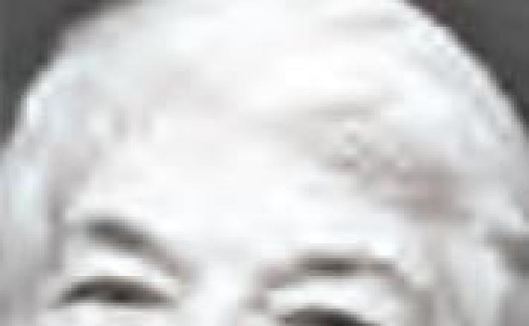 Alt Text for Image