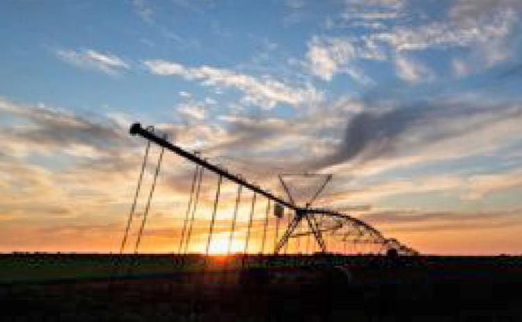 IRRIGATION PIVOTS are running in many parts of the state in an attempt to provide some pre-plant moisture to soil following a winter dry spell. | TEXAS A&amp;M AGRILIFE PHOTO BY LAURA MCKENZIE
