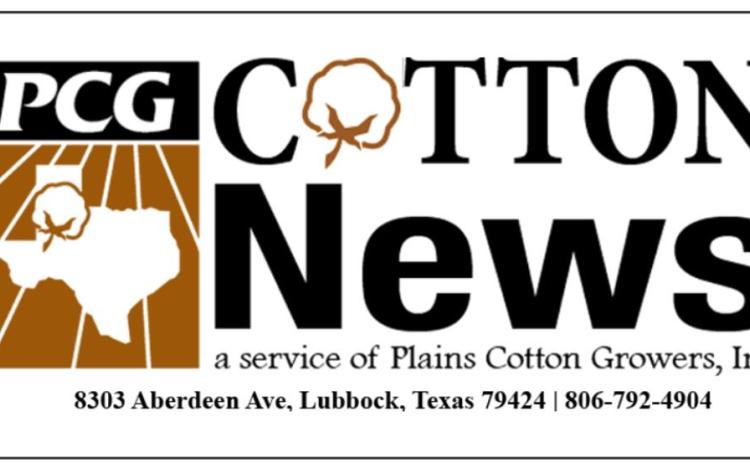 November cotton and cottonseed price/marketing figures released